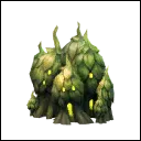 Hop Patch