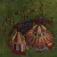 Travelling Circus