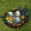 Crow Nest