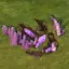 Dragon Step
