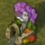 Knowledge Garden