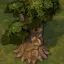 Tree of Knowledge